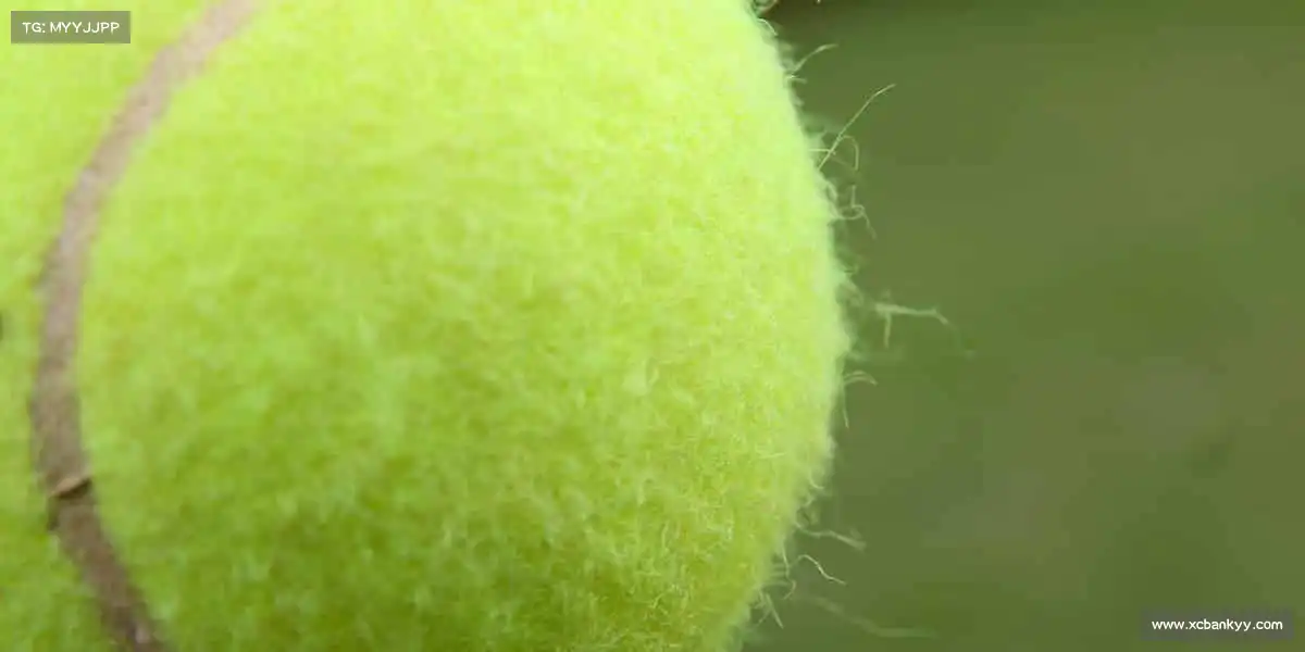 我们的品牌价值